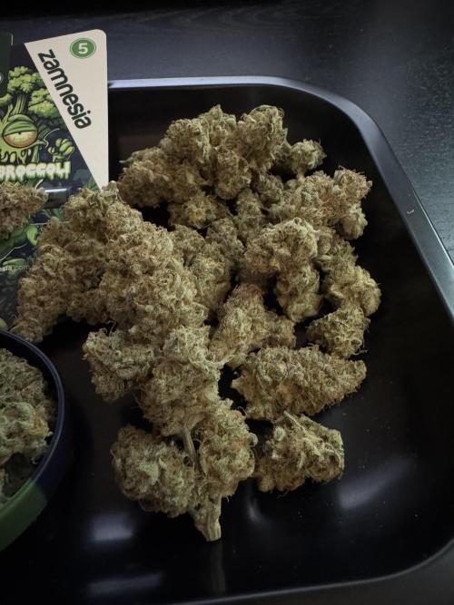 Eternity Grow 🏆 Micro Grow. Week 12 - Rechte Pflanze mit 16g
