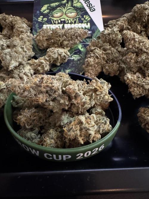 Eternity Grow 🏆 Micro Grow. Week 12 - 5g aus der kleinen im 0,5l topf