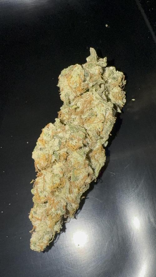 Eternity Grow 🏆 Micro Grow. Week 12 - Ein Mainbud von der linken Pflanze