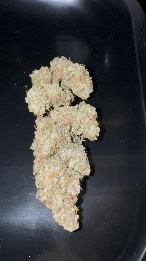 Eternity Grow 🏆 Micro Grow. Week 12 - Ein Mainbud von der rechten Pflanze