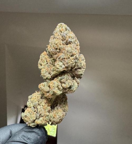 Cherry Hills 🍒⛰️80w. Week 14