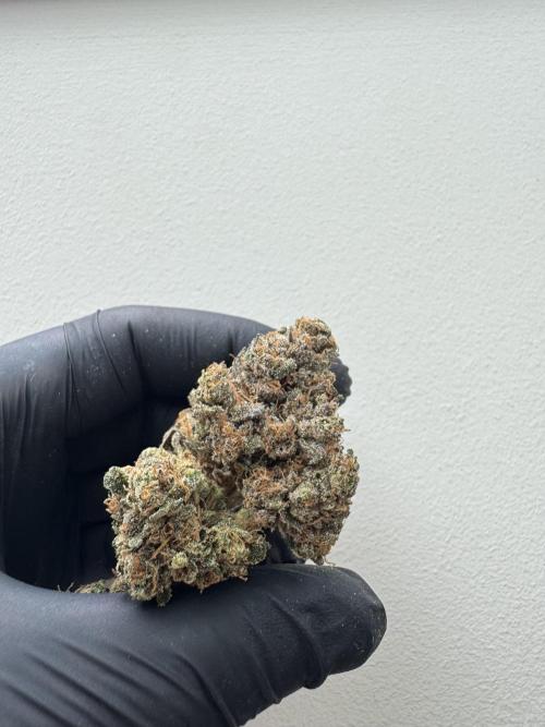 Cherry Hills 🍒⛰️80w. Week 14