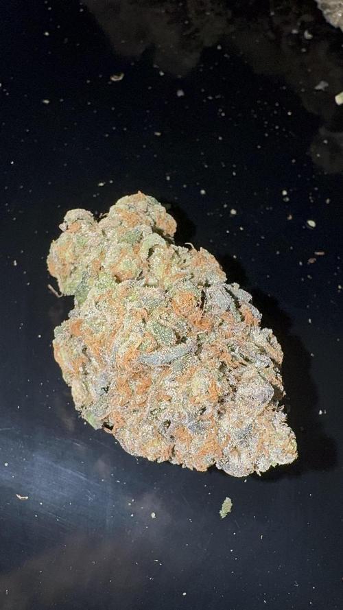 Cherry Hills 🍒⛰️80w. Week 14