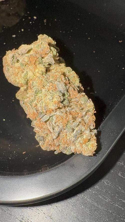 Cherry Hills 🍒⛰️80w. Week 14