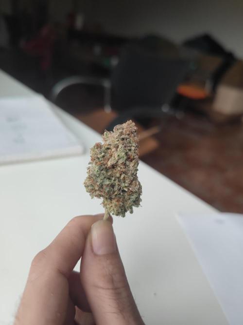 Hyperion F1 Auto "RQS". Week 13