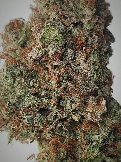 Hyperion F1 Auto "RQS". Week 13