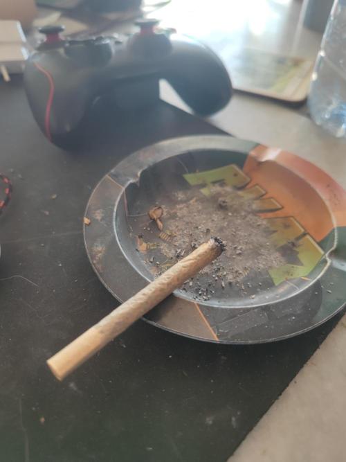 14-14 Platinum OG "GB Strains" FEM. Week 27