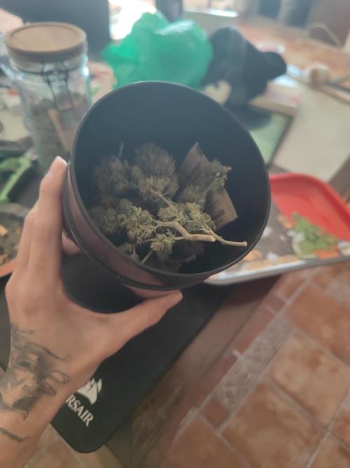 14-14 Blue Zushi L.E. "Grower Choice". Week 28