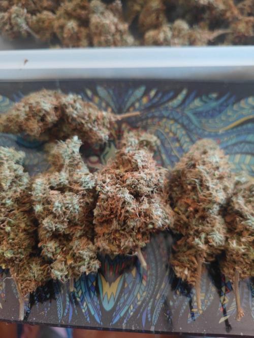 14/14 Kritical GB FEM "GB STRAINS". Week 30