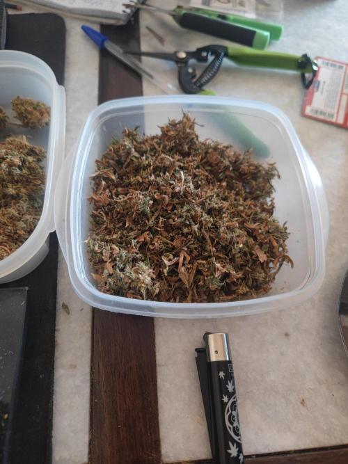 14/14 Kritical GB FEM "GB STRAINS". Week 30