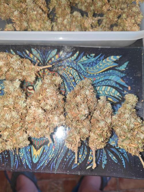 14/14 Kritical GB FEM "GB STRAINS". Week 30