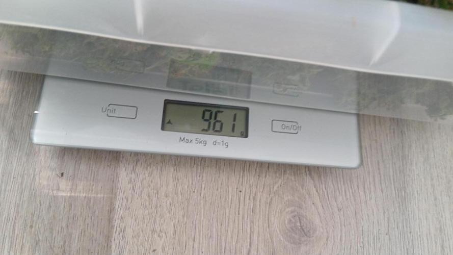 Dosidos auto. Week 13