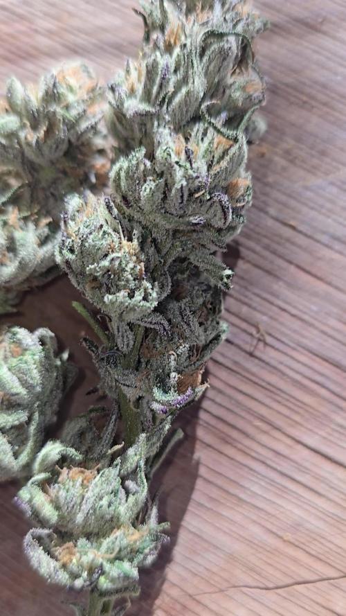 Frozen black 🍒 RDWC