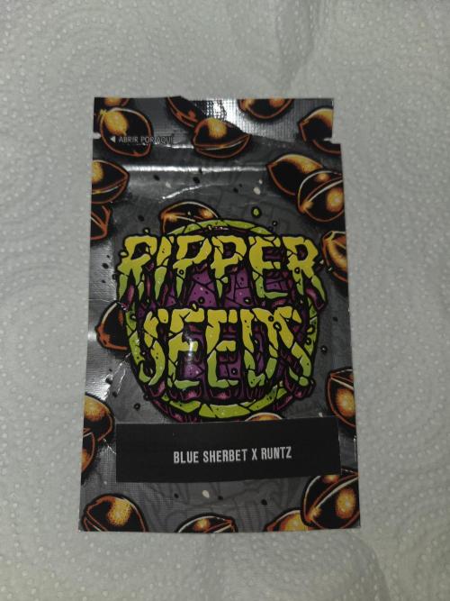 Mary Jane 2025 Genetik Run. Week 0