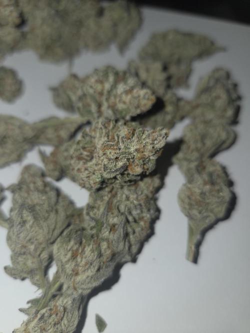 Radical Juice 🍇. Week 11