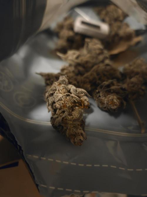 Radical Juice 🍇. Week 11