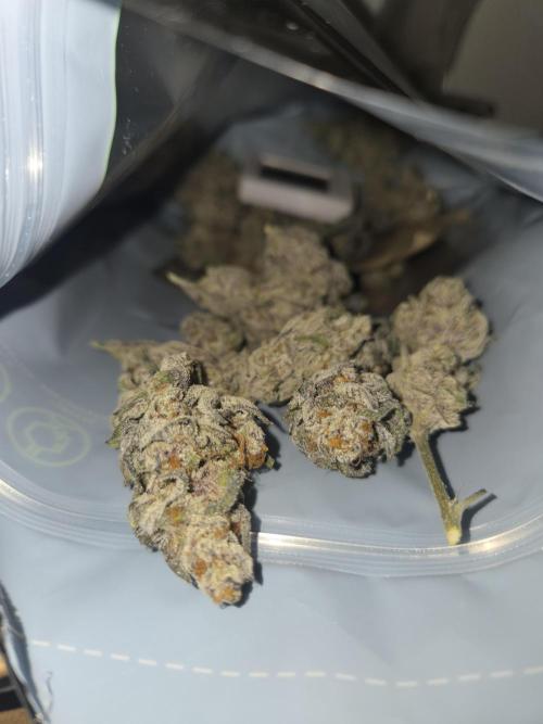 Radical Juice 🍇. Week 11