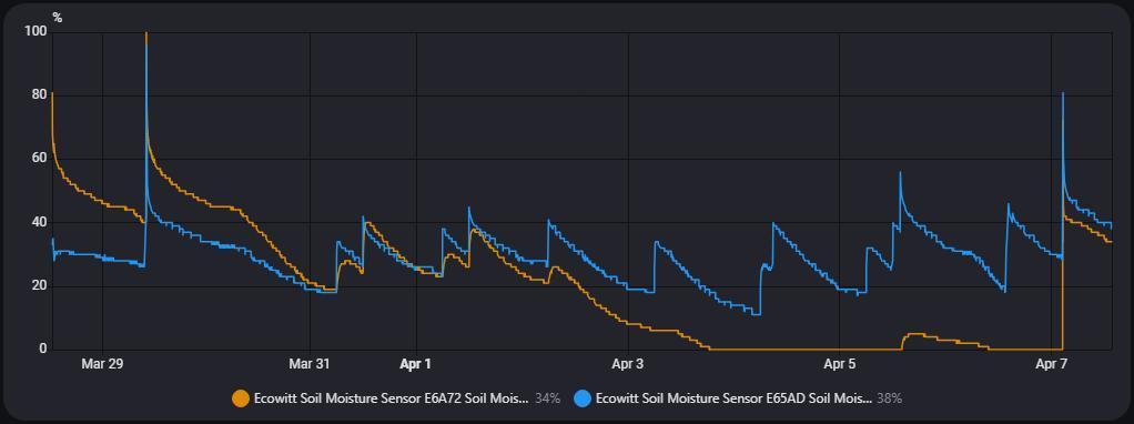 #4 - Milky Way F1 & Girl Scout Cookies. Week 8 - Moisture measurements