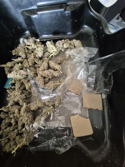 ICYSTATUS (ICYGARY#1 x ASTRONAUTSTATUS). Week 20