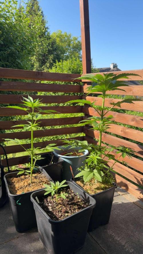Outdoor 2026. Week 3