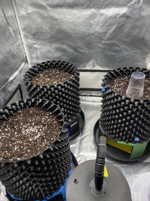 WurlzF1 / Wedding Glue / Gushers. Week 1 - 10.05.26