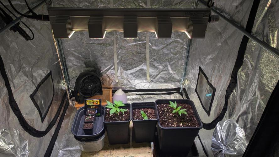 Gary Payton von Farmbros . Week 0