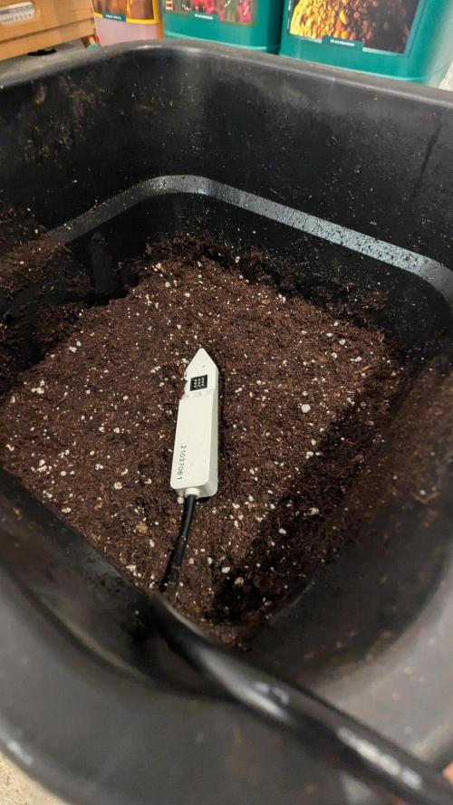 Gary Payton von Farmbros . Week 3