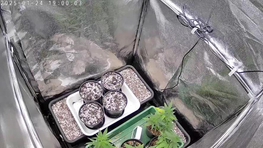 The Sweetest Experience