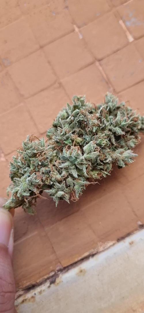 12/12 from seed HighCloudZ