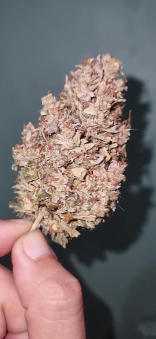 12/12 from seed HighCloudZ