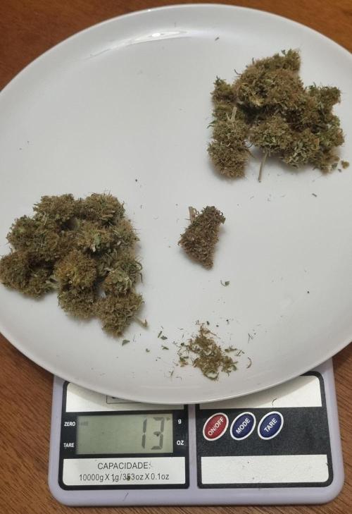 GWS 12h. Week 17 - 13g