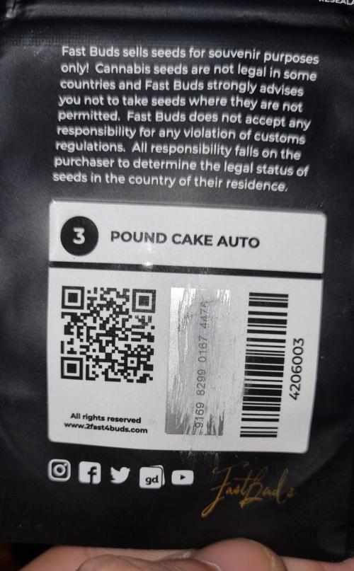 12h from seed Pound Cake Auto. Week 0