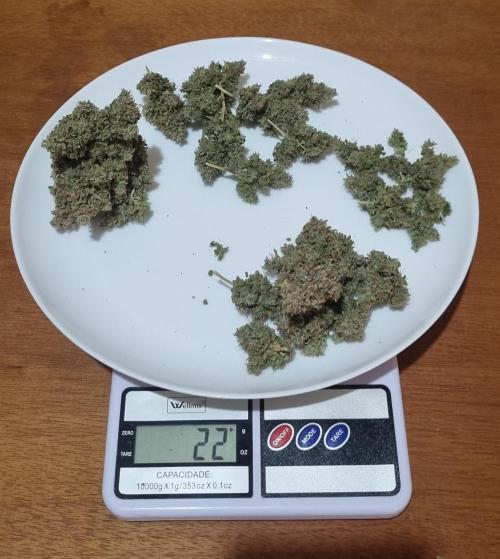 12h from seed AkAuto!. Week 14 - ak 1 - 22g