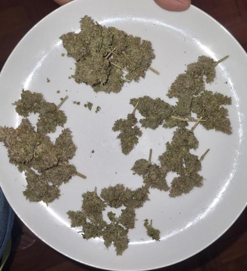 12h from seed AkAuto!. Week 14