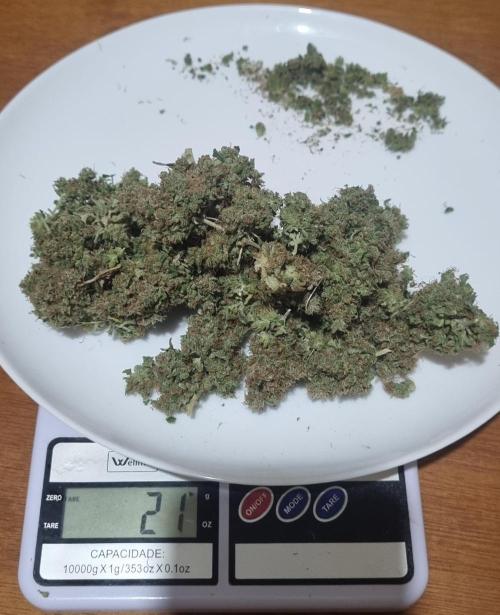 12h from seed AkAuto!. Week 14 - ak 2 - 21g