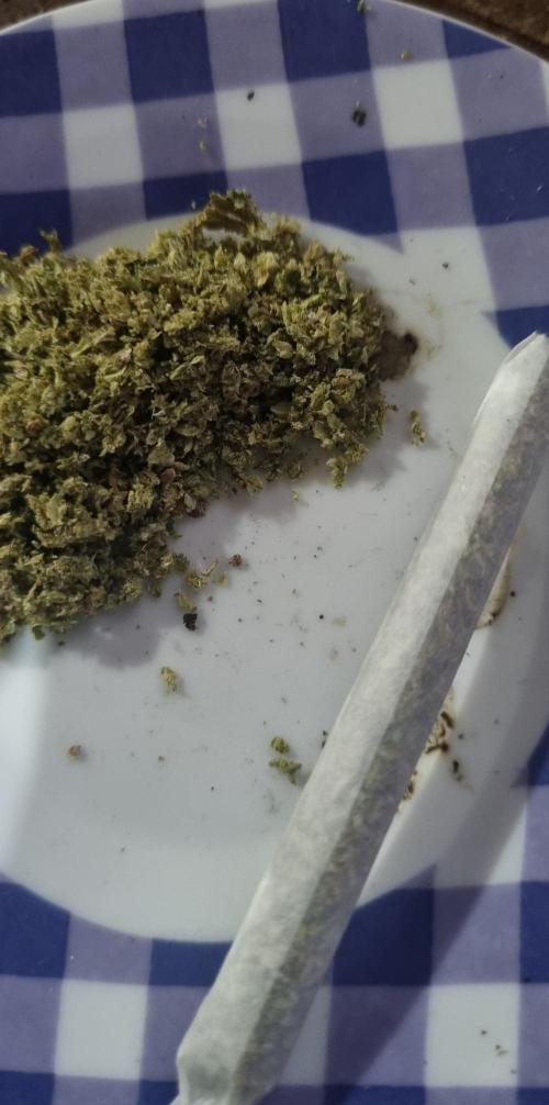 12h from seed AkAuto! 2. Week 14