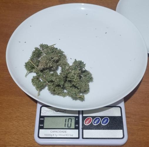 12h from seed AkAuto! 2. Week 14 - ak 3 - 10g