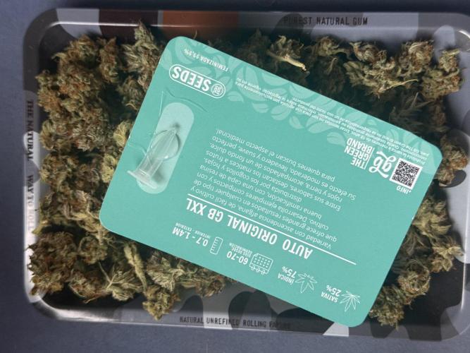 ORIGINAL GB XXL AUTO. Week 12