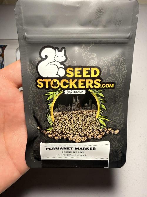 PERMANENT MARKER. Week 0