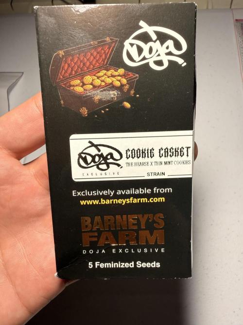 Cookie casket. Week 0