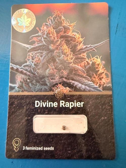 Divine Rapier. Week 0