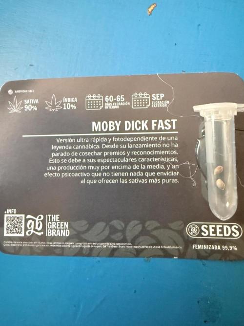 Moby Dick fast. Week 0