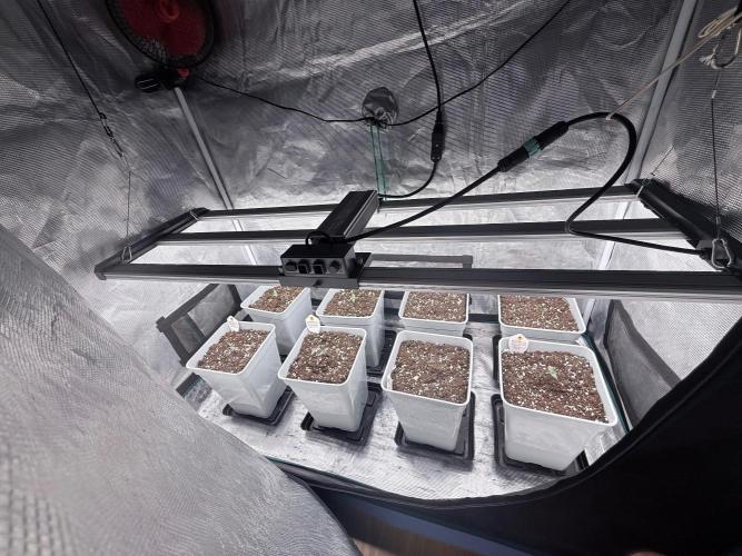 Moby Dick Fast. Week 1