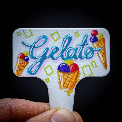 Auto Gelato Pyramid Seeds. Week 0 - Let's go :)