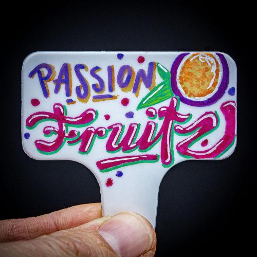 Passion Fruitz Automatic Zamnesia. Week 0 - Let's go :)