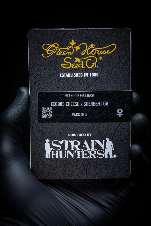 Franco's Fullgas! Green House Seed Co.. Week 0 - Packshot