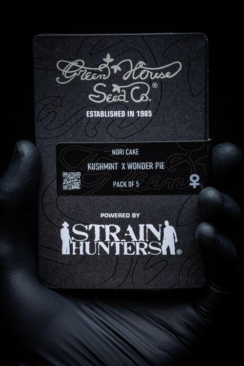 Nori Cake Green House Seed Co.. Week 0 - Packshot