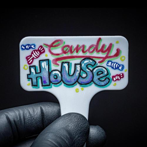 Candy House UKHTA Genetics. Week 0 - Let's go :)