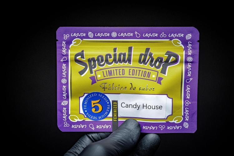 Candy House UKHTA Genetics. Week 0 - Packshot