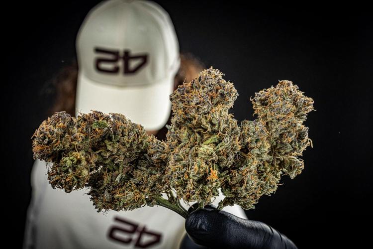 Lemon Cherry Cookies Auto Fast Buds. Week 14 - Day 123